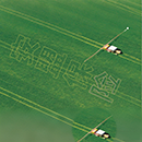 守护绿色希望，筑牢风险屏障——安盟财产保险有限公司