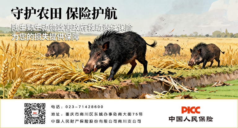 生成保险宣传图片 (2).jpg