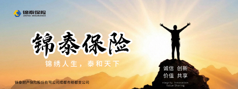 锦泰保险：以多元保障守护万家安稳